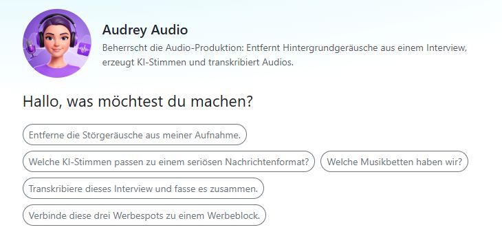 ../_images/audrey_audio_chat.jpg
